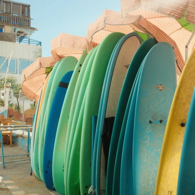 The manifold colours of Morocco: From soft blues and golden sands to vibrant colours by the shore — a blend of culture, nature, and adventure. We recommend to join us for a vacation and experience the beauty yourself. 

#bluemindmorocco #bluemindsurfandyogatribe #surfandyoga #surfandyogaretreat #surfretreat #surftrip #fujixseries #surfholiday #morocco #surfmorocco #morocco #surfcamp #surfingmorocco #surfersparadise #visitmorocco #surfculture #surfandyogaretreat #moroccoyogaretreat #retreatmorocco #bluemindmorocco #slowtravelmorocco #wellnesstravel #yogaadventure #yoga #surfretreat #yogabythesea #offseasonmagic #mindfultravel #summervibes #summertime #travelmorocco #summerspecial

pics: @conny.haenchen